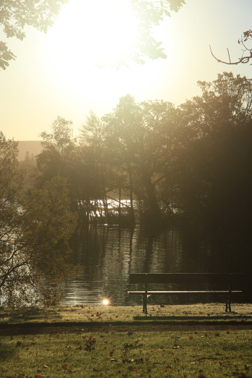 A park bench by the loch