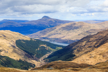 Ben Lomond in the distance